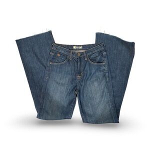 Hudson Jeans Indigo Flare & Wide Leg